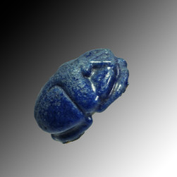 Blue button scarab